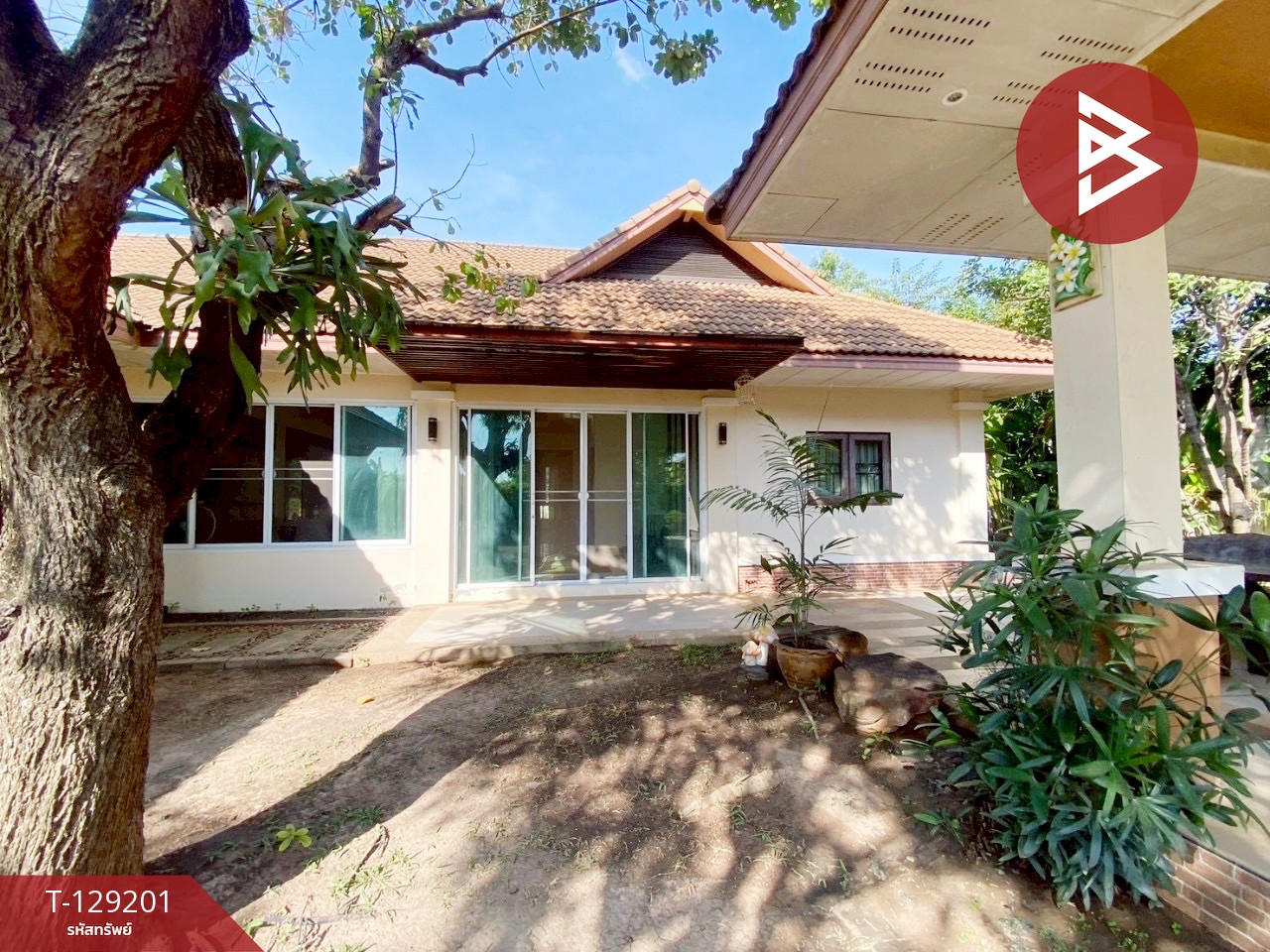 ขายบ้านเดี่ยวชั้นเดียว เนื้อที่ 3 งาน 98 ตร.วา ศิลา ขอนแก่น 2