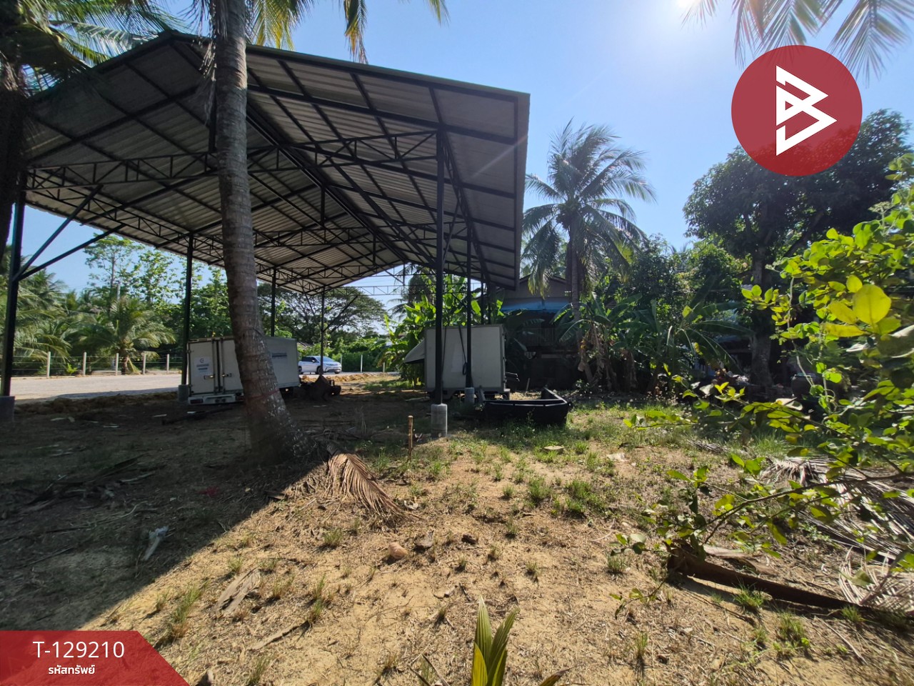 ขายที่ดิน เนื้อที่ 1 งาน 62.4 ตร.วา บางคนที สมุทรสงคราม 11