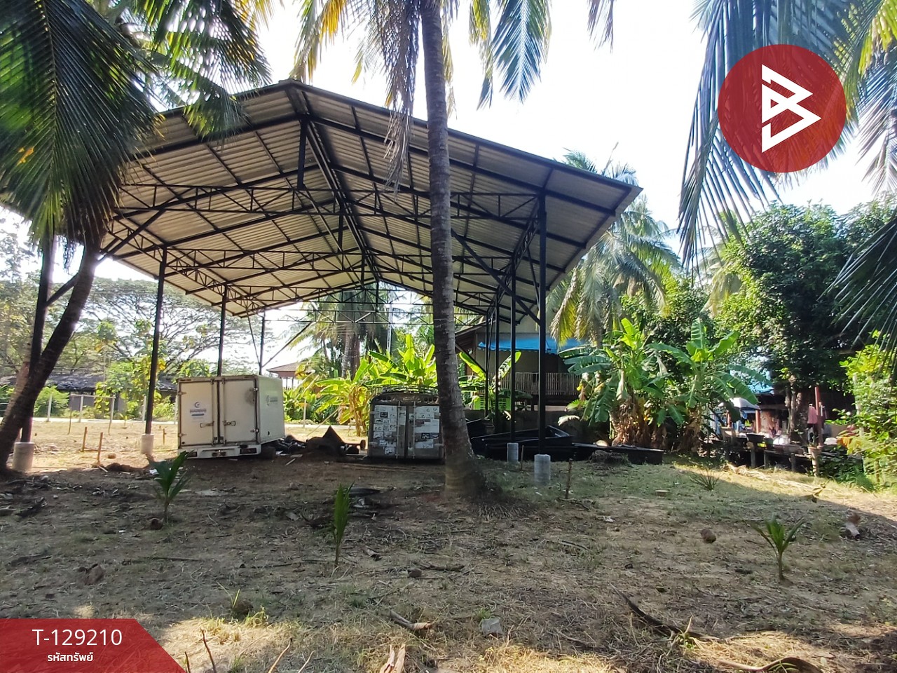 ขายที่ดิน เนื้อที่ 1 งาน 62.4 ตร.วา บางคนที สมุทรสงคราม 4