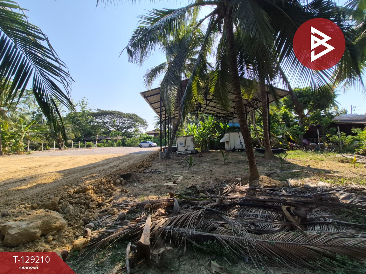 ขายที่ดิน เนื้อที่ 1 งาน 62.4 ตร.วา บางคนที สมุทรสงคราม 13