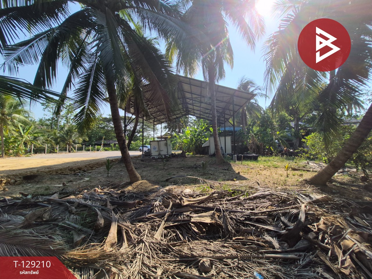 ขายที่ดิน เนื้อที่ 1 งาน 62.4 ตร.วา บางคนที สมุทรสงคราม 12