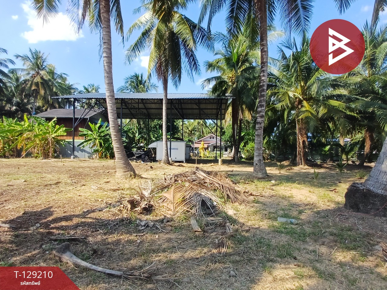 ขายที่ดิน เนื้อที่ 1 งาน 62.4 ตร.วา บางคนที สมุทรสงคราม 5