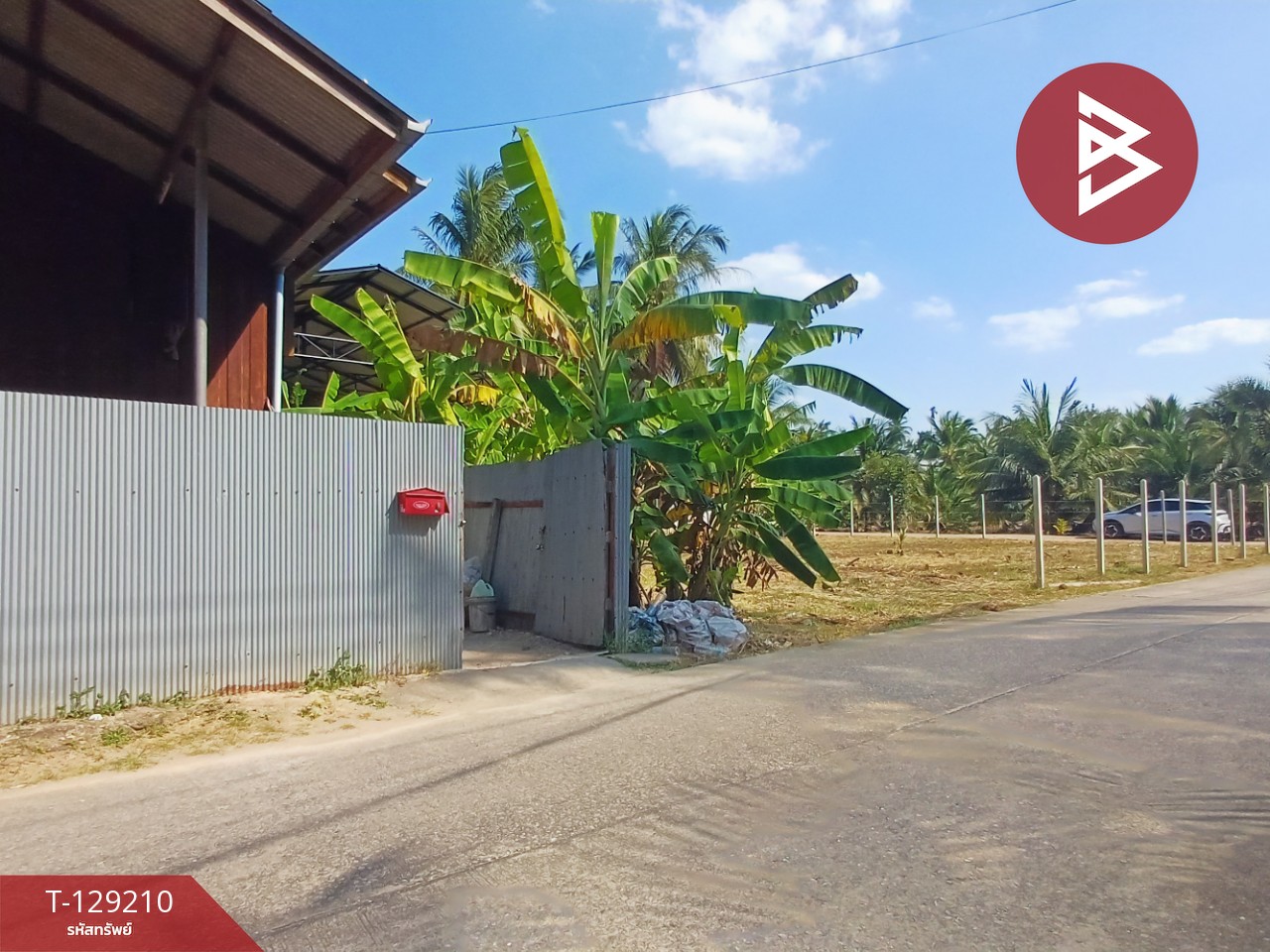 ขายที่ดิน เนื้อที่ 1 งาน 62.4 ตร.วา บางคนที สมุทรสงคราม 1