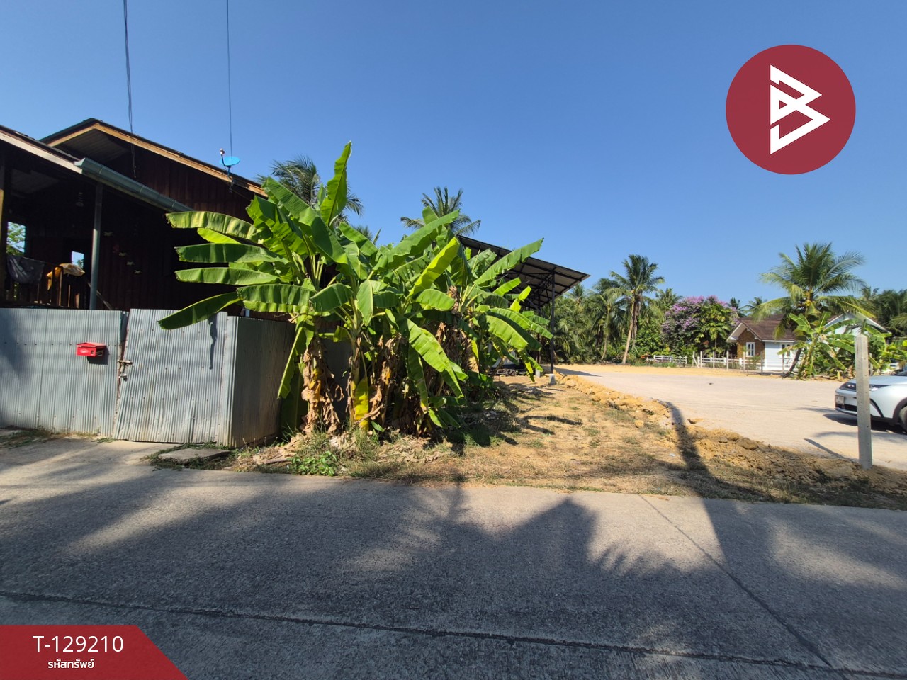 ขายที่ดิน เนื้อที่ 1 งาน 62.4 ตร.วา บางคนที สมุทรสงคราม 3