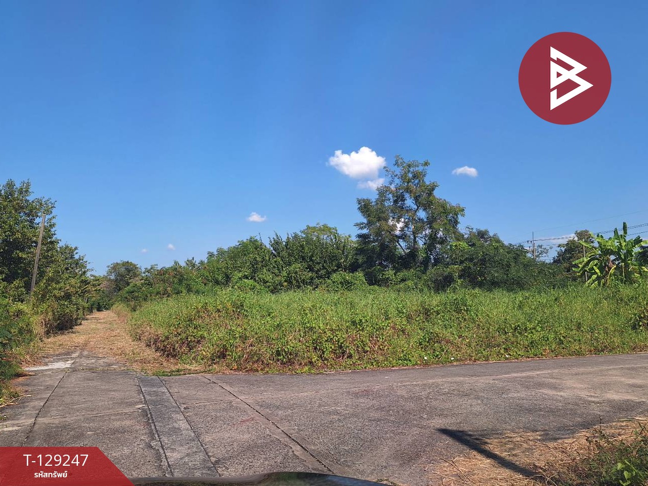 ขายที่ดิน เนื้อที่ 66 ตร.วา ธัญบุรี ปทุมธานี 6