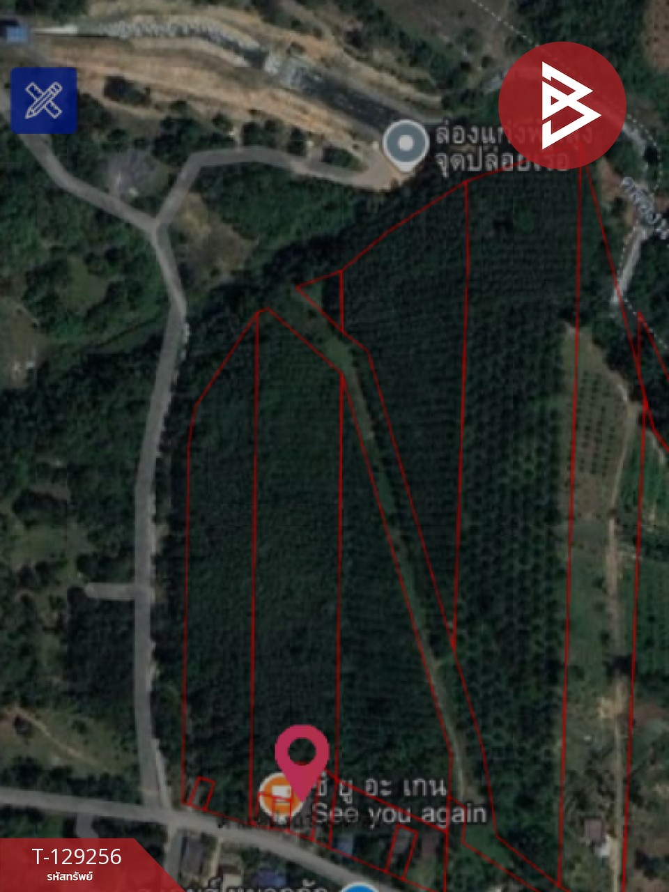 ขายบ้านเดี่ยว เนื้อที่ 167.7 ตารางวา อ.ป่าพะยอม พัทลุง ใกล้จุดล่องแก่งพัทลุง 10