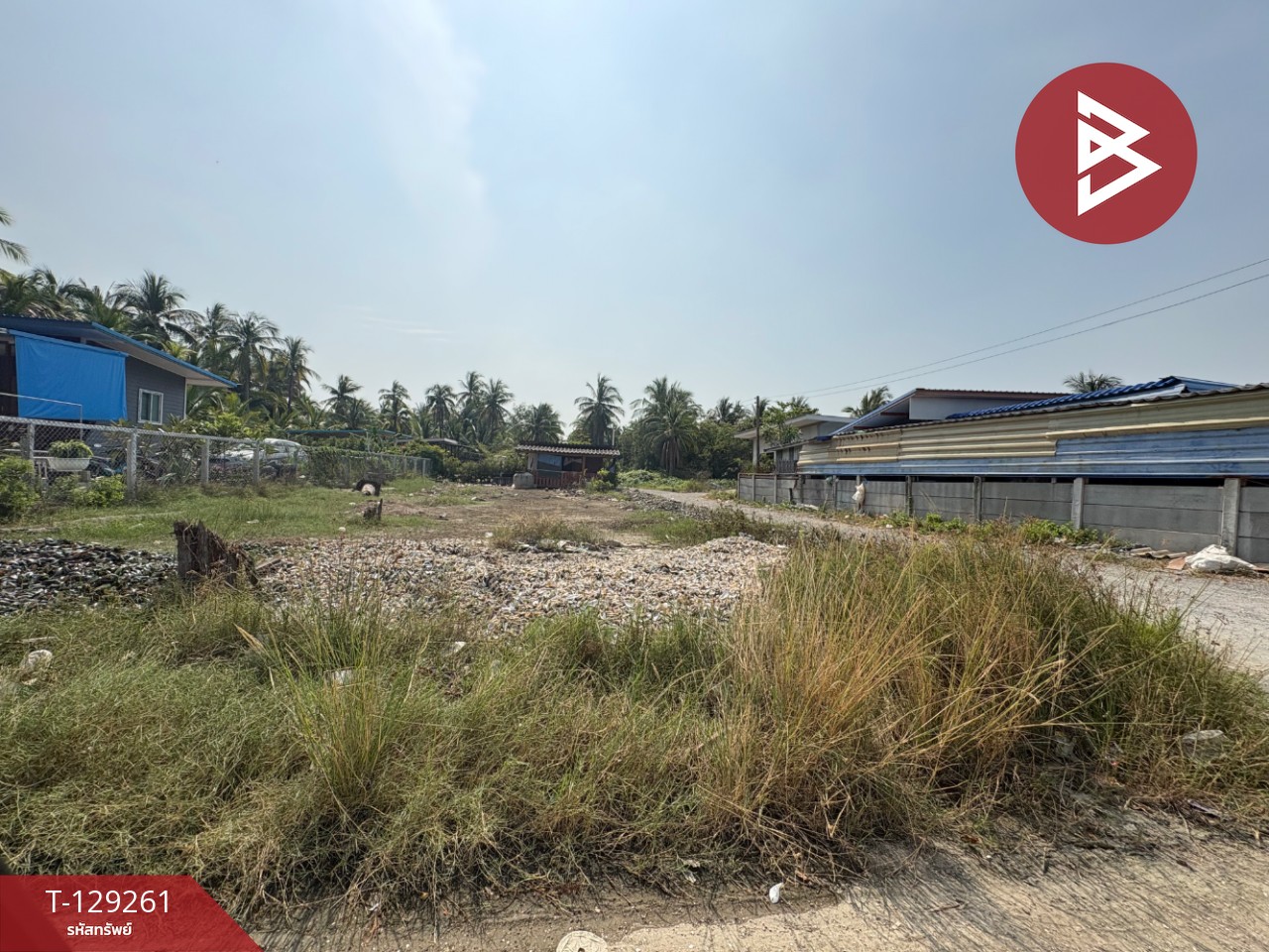 ขายที่ดิน เนื้อที่ 1 งาน ต.แหลมใหญ่ สมุทรสงคราม 1