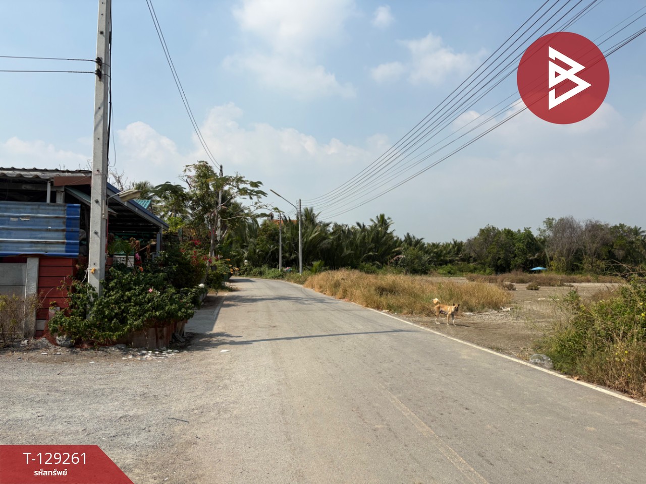 ขายที่ดิน เนื้อที่ 1 งาน ต.แหลมใหญ่ สมุทรสงคราม 10