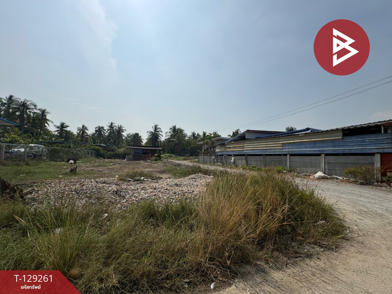 ขายที่ดิน เนื้อที่ 1 งาน ต.แหลมใหญ่ สมุทรสงคราม 8