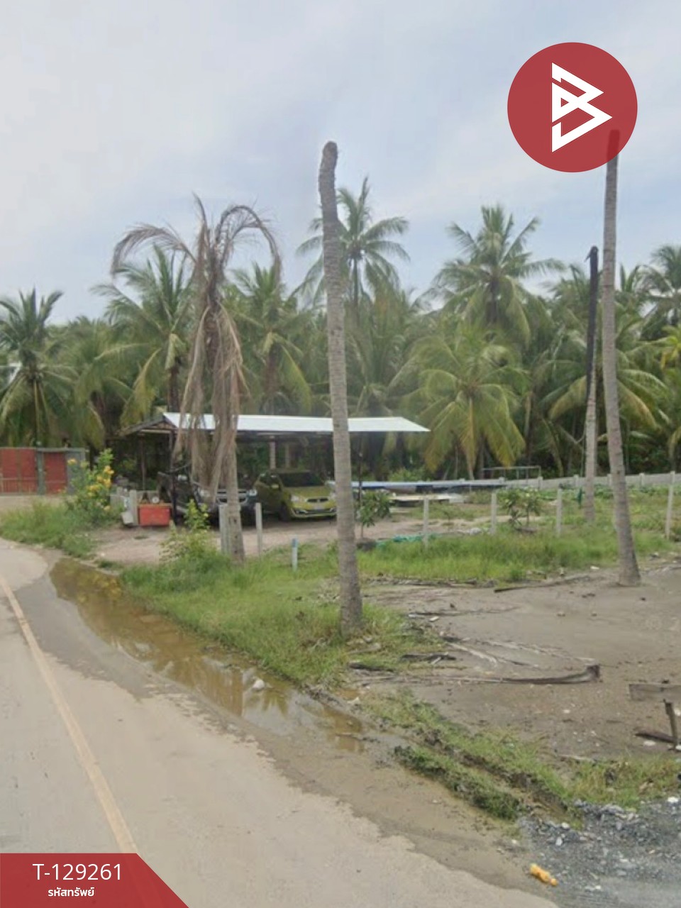 ขายที่ดิน เนื้อที่ 1 งาน ต.แหลมใหญ่ สมุทรสงคราม 5