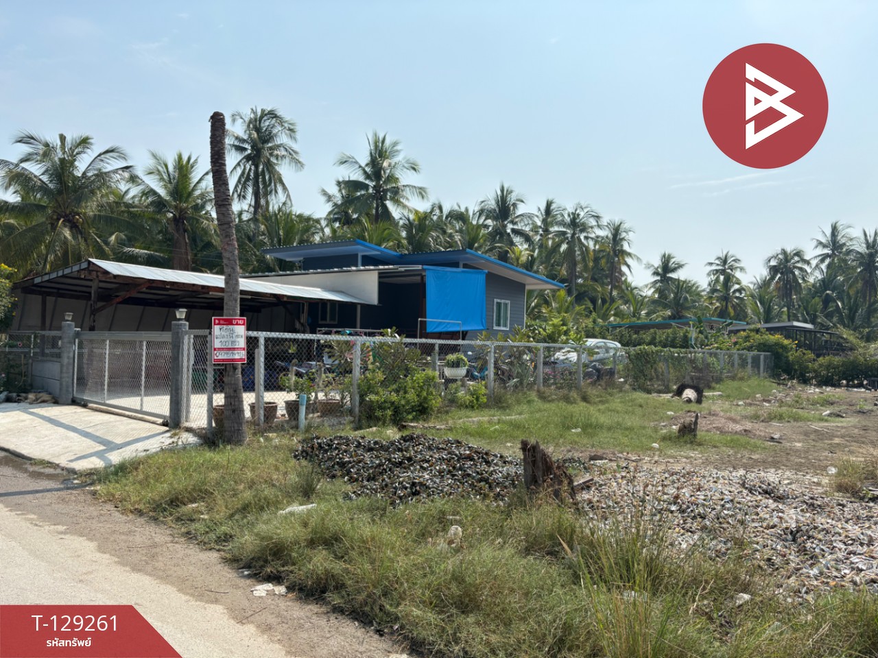 ขายที่ดิน เนื้อที่ 1 งาน ต.แหลมใหญ่ สมุทรสงคราม 11