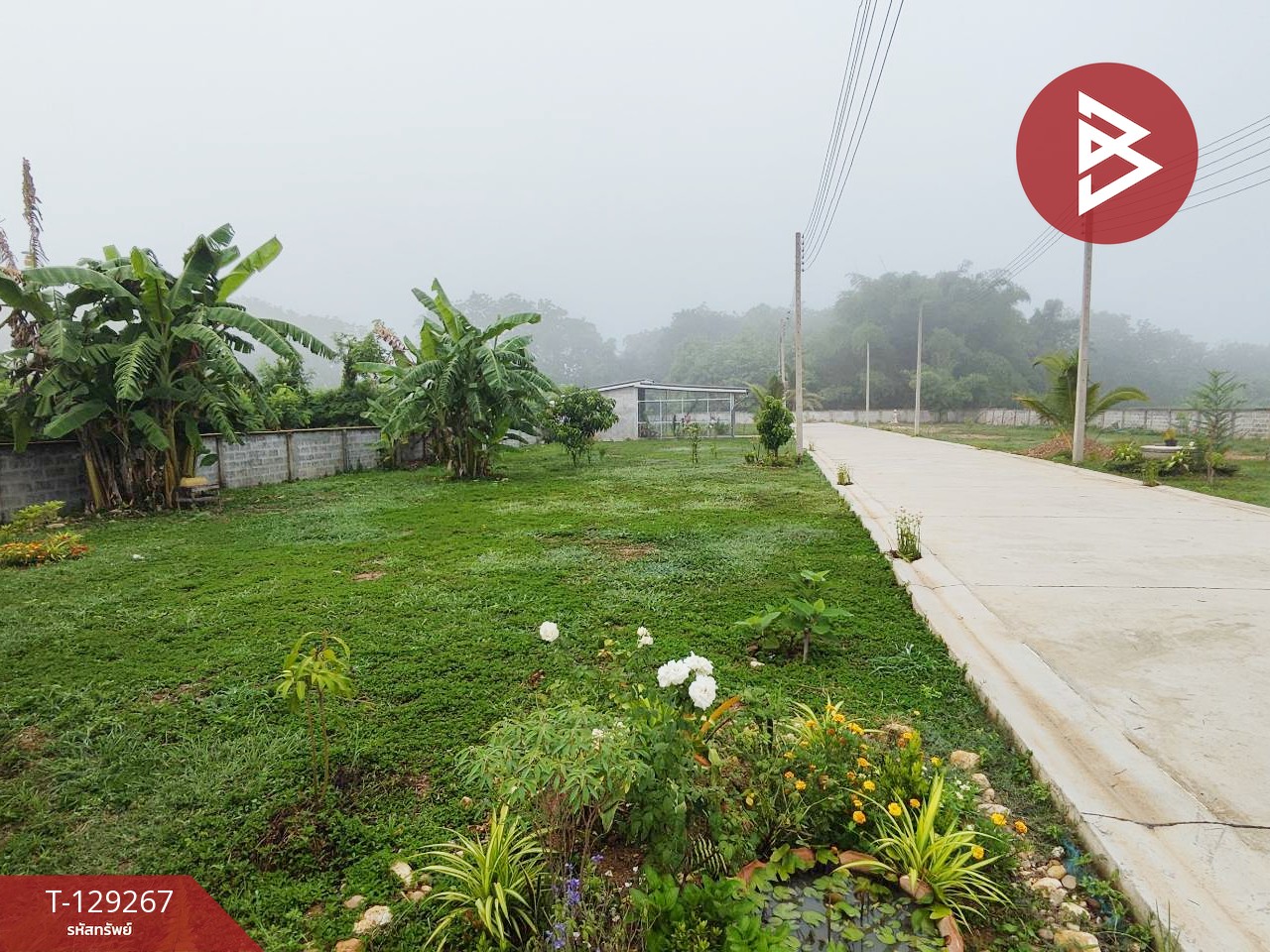 ขายที่ดิน เนื้อที่ 80 ตร.วา ต.กาญจนา จ.แพร่ 8