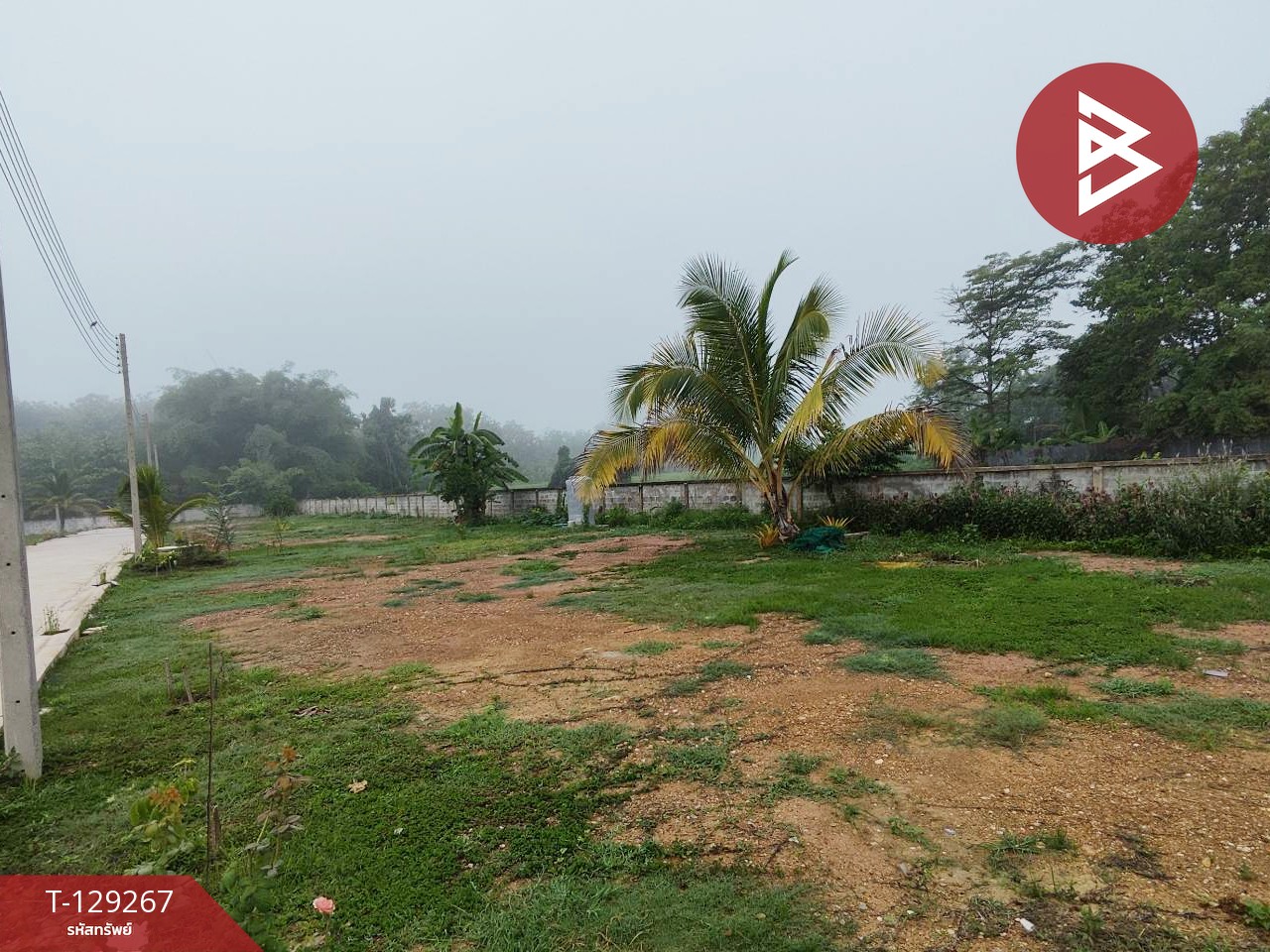 ขายที่ดิน เนื้อที่ 80 ตร.วา ต.กาญจนา จ.แพร่ 7