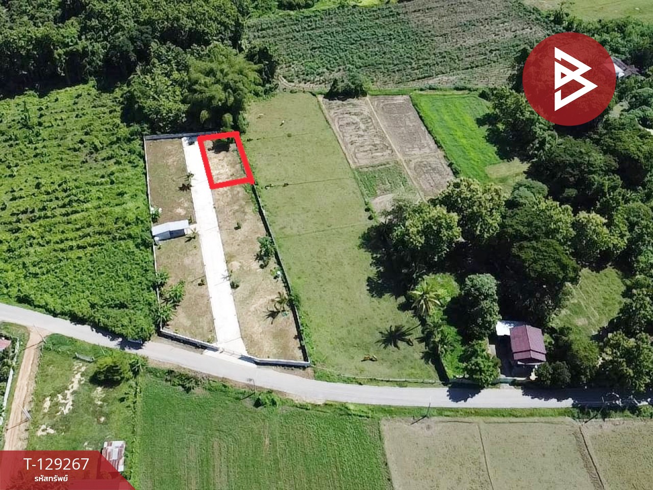 ขายที่ดิน เนื้อที่ 80 ตร.วา ต.กาญจนา จ.แพร่ 1