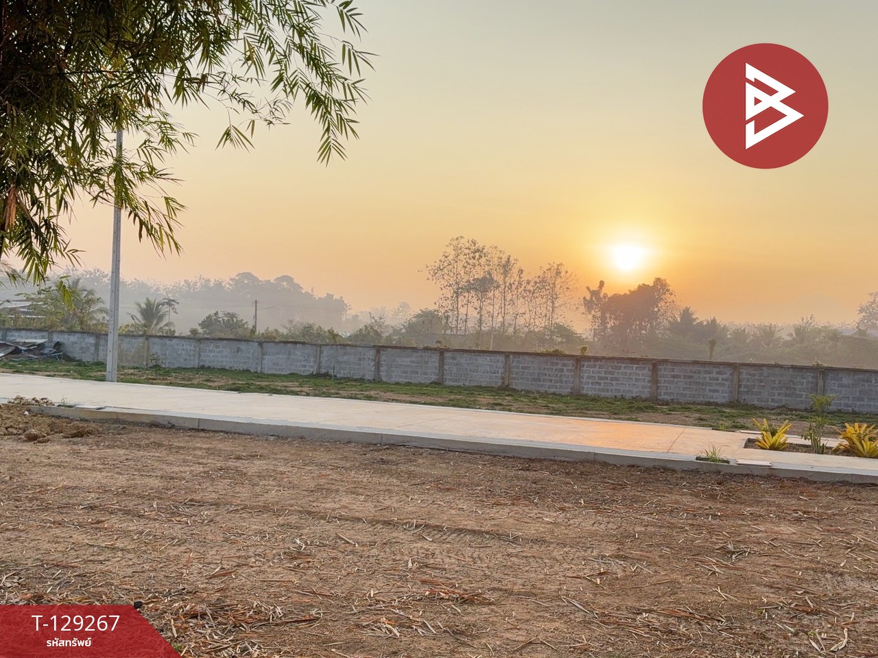 ขายที่ดิน เนื้อที่ 80 ตร.วา ต.กาญจนา จ.แพร่ 11