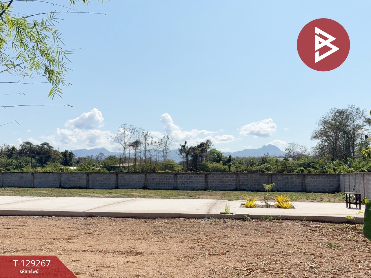 ขายที่ดิน เนื้อที่ 80 ตร.วา ต.กาญจนา จ.แพร่ 13