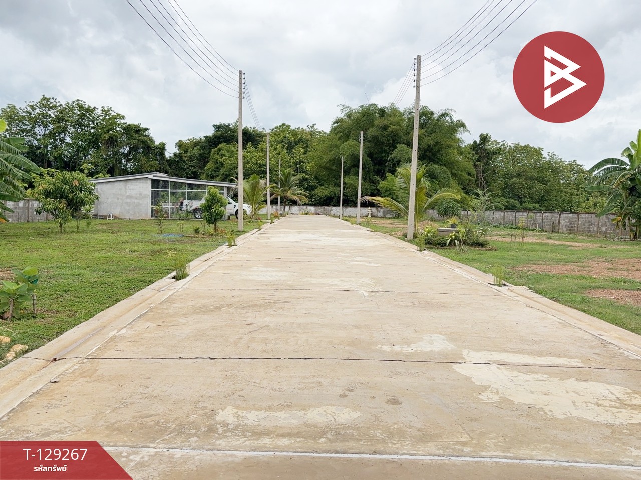 ขายที่ดิน เนื้อที่ 80 ตร.วา ต.กาญจนา จ.แพร่ 12