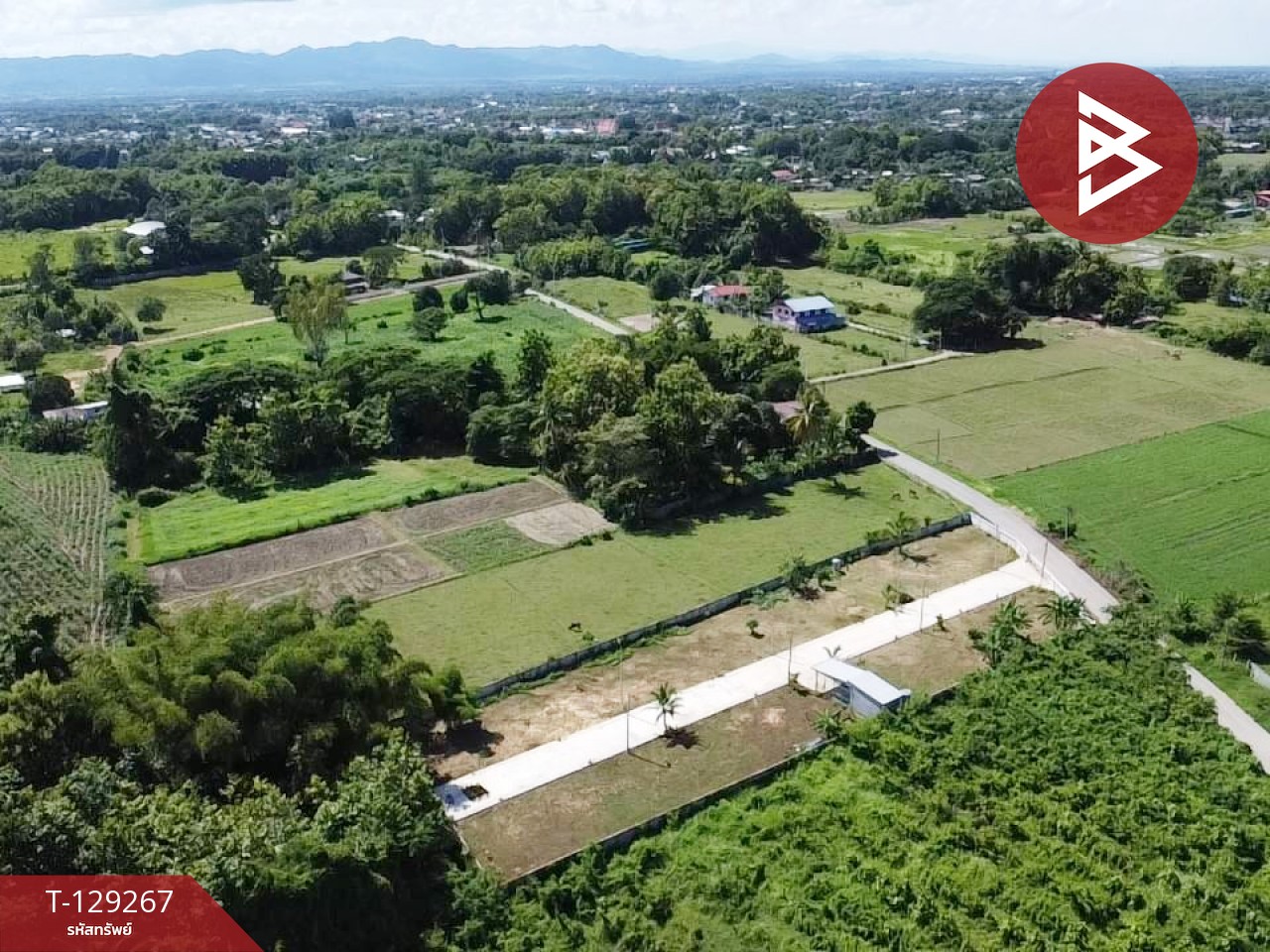 ขายที่ดิน เนื้อที่ 80 ตร.วา ต.กาญจนา จ.แพร่ 4