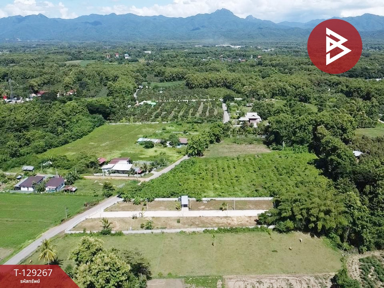 ขายที่ดิน เนื้อที่ 80 ตร.วา ต.กาญจนา จ.แพร่ 2