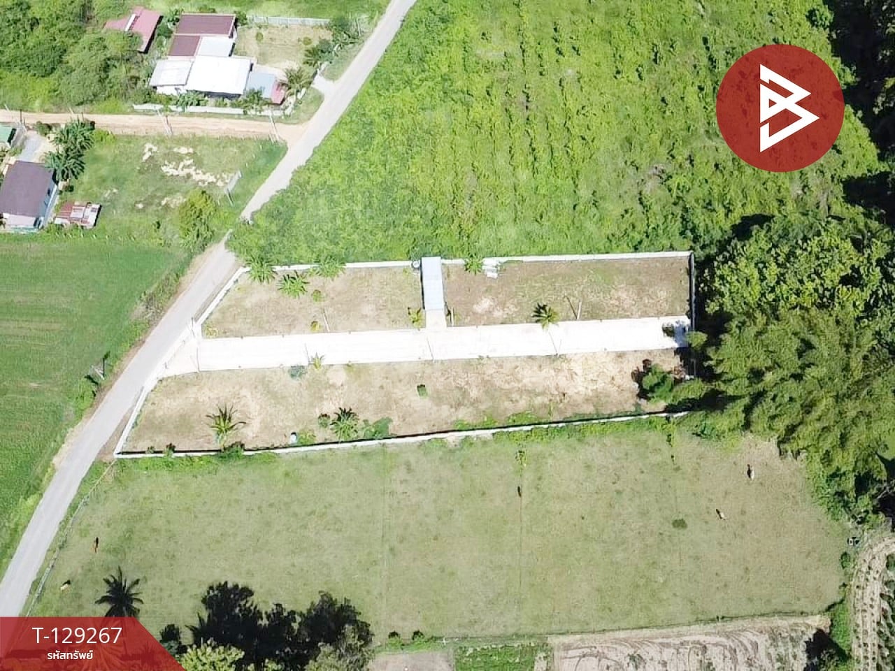 ขายที่ดิน เนื้อที่ 80 ตร.วา ต.กาญจนา จ.แพร่ 3