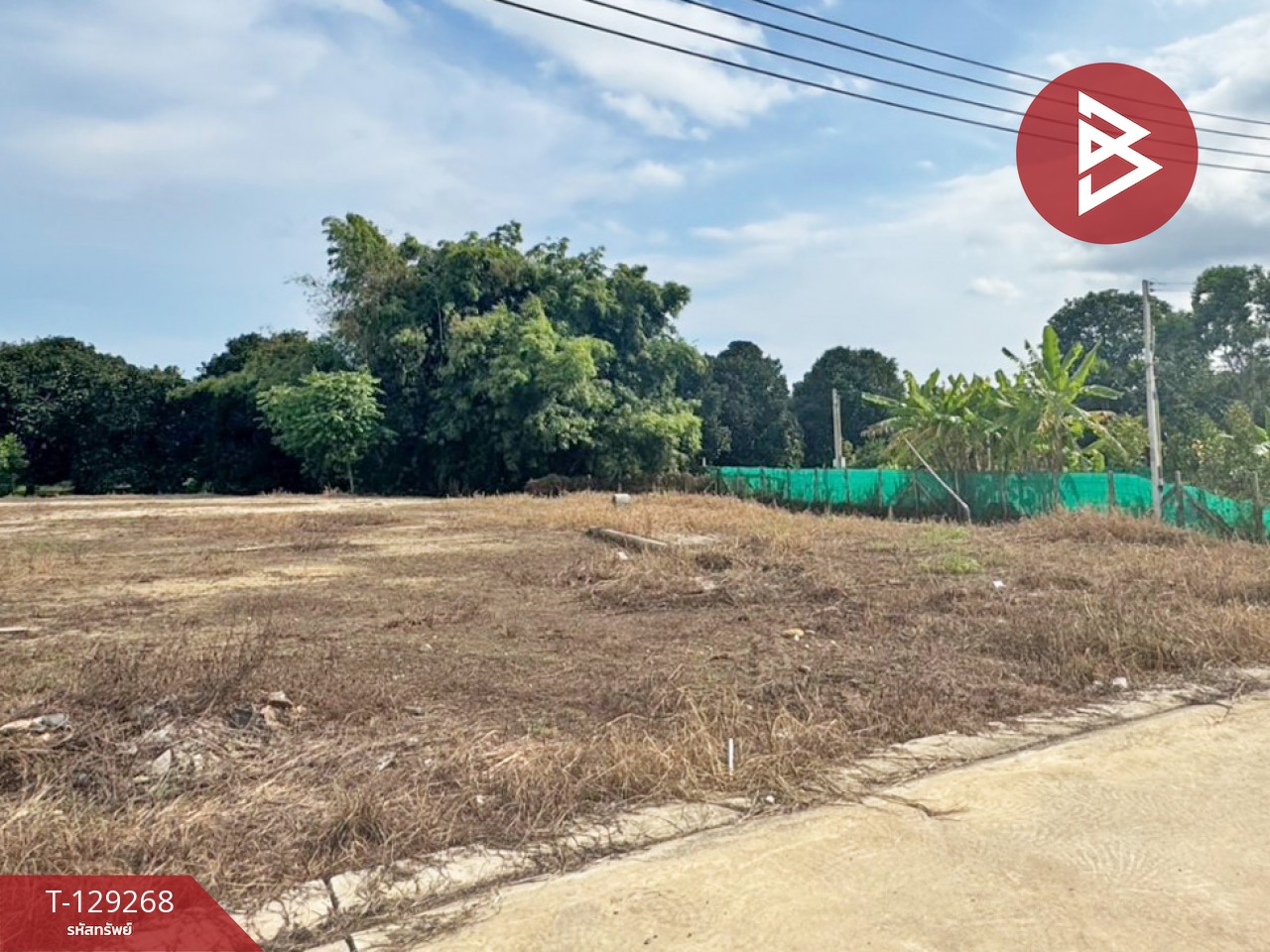 ขายที่ดิน 5 แปลง เนื้อที่รวม 2 งาน 96.7 ตารางวา พลับพลา จันทบุรี 4