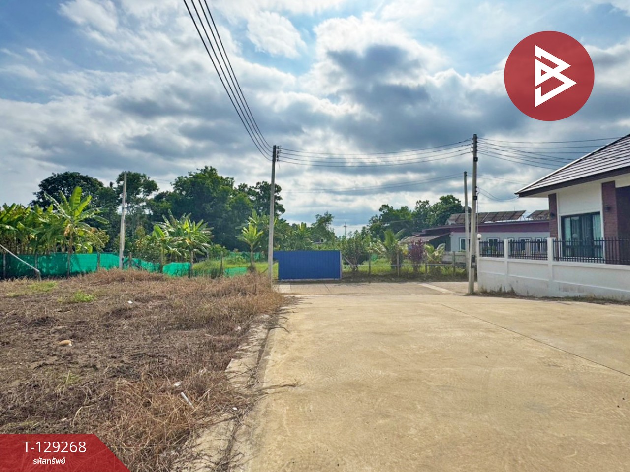 ขายที่ดิน 5 แปลง เนื้อที่รวม 2 งาน 96.7 ตารางวา พลับพลา จันทบุรี 5