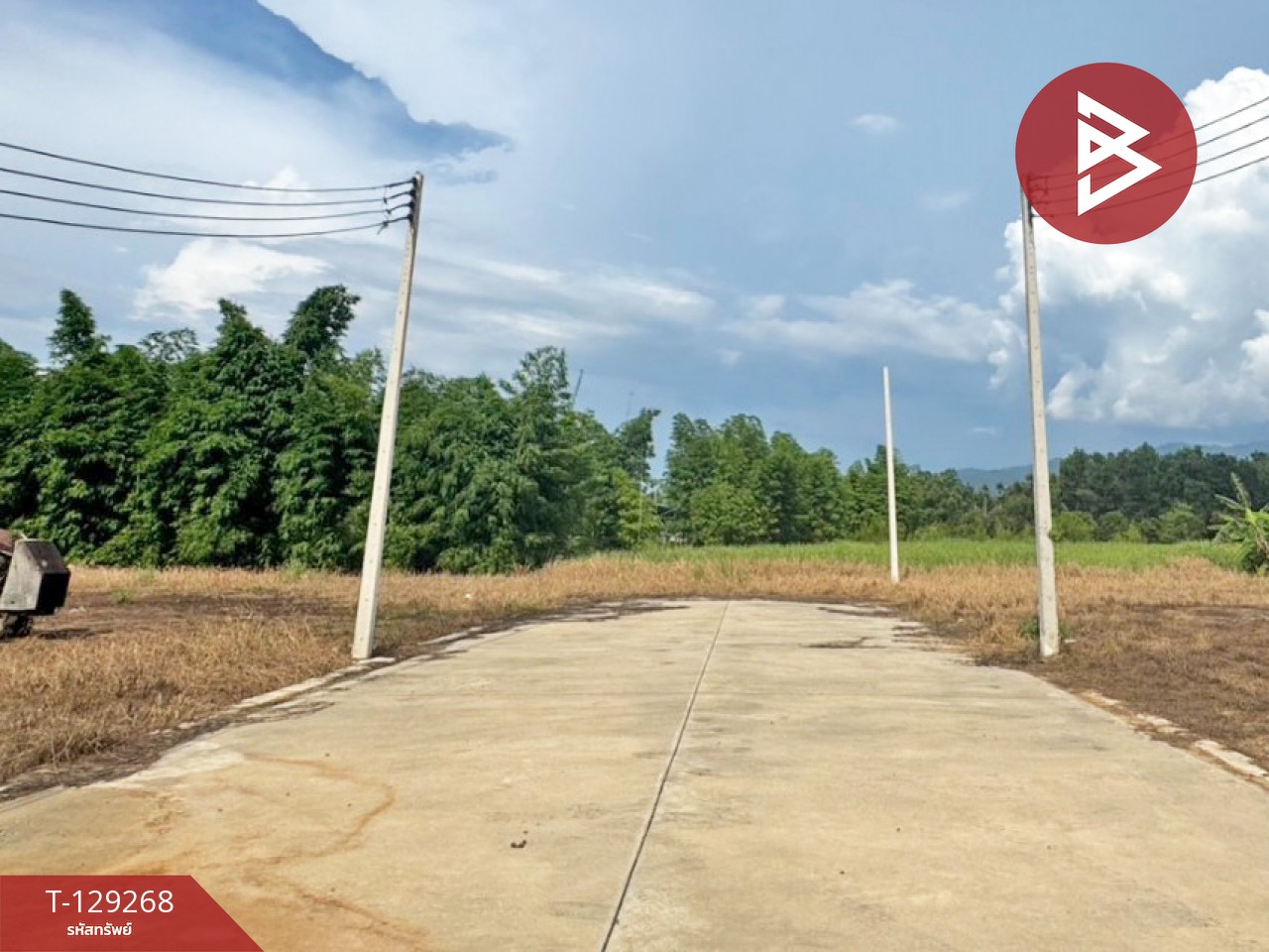 ขายที่ดิน 5 แปลง เนื้อที่รวม 2 งาน 96.7 ตารางวา พลับพลา จันทบุรี 3