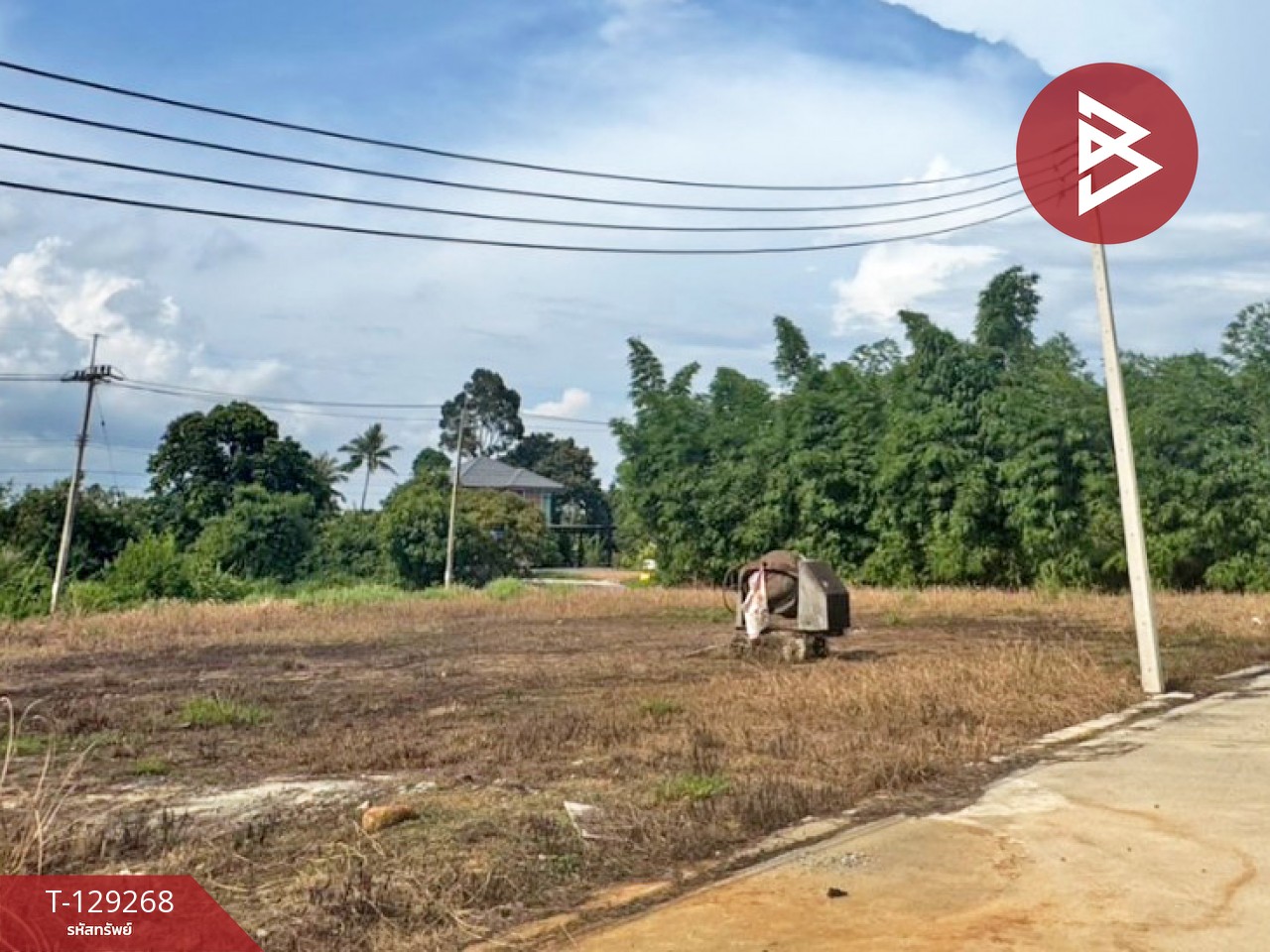 ขายที่ดิน 5 แปลง เนื้อที่รวม 2 งาน 96.7 ตารางวา พลับพลา จันทบุรี 6