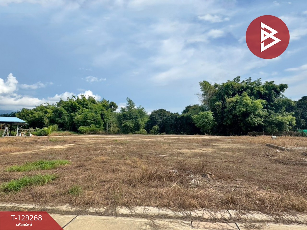 ขายที่ดิน 5 แปลง เนื้อที่รวม 2 งาน 96.7 ตารางวา พลับพลา จันทบุรี 1