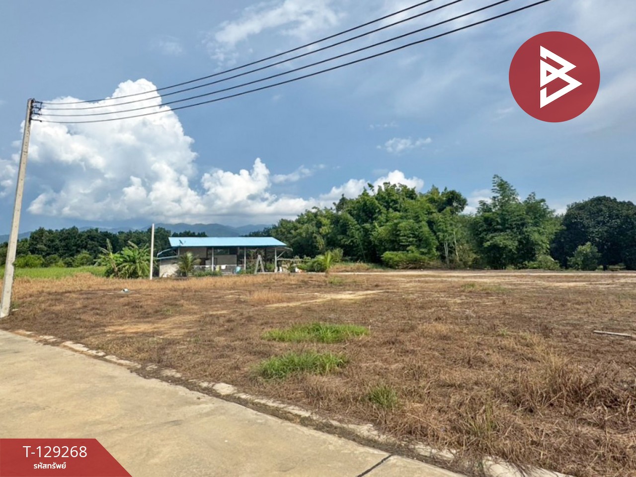 ขายที่ดิน 5 แปลง เนื้อที่รวม 2 งาน 96.7 ตารางวา พลับพลา จันทบุรี 2