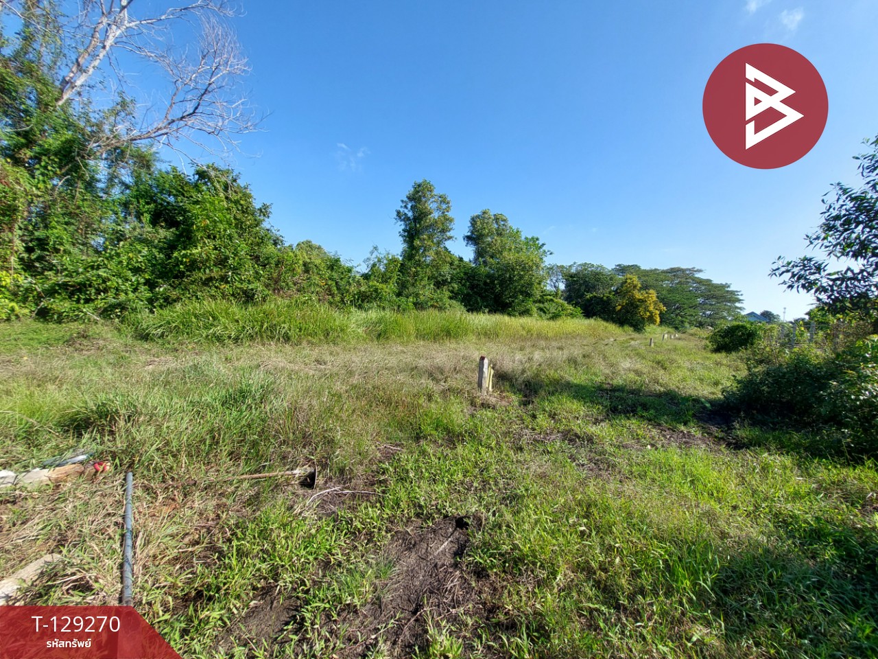 ขายที่ดิน เนื้อที่ 1 งาน 88.6 ตร.วา คลัง นครศรีธรรมราช 4