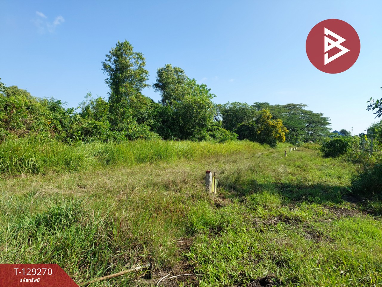 ขายที่ดิน เนื้อที่ 1 งาน 88.6 ตร.วา คลัง นครศรีธรรมราช 3