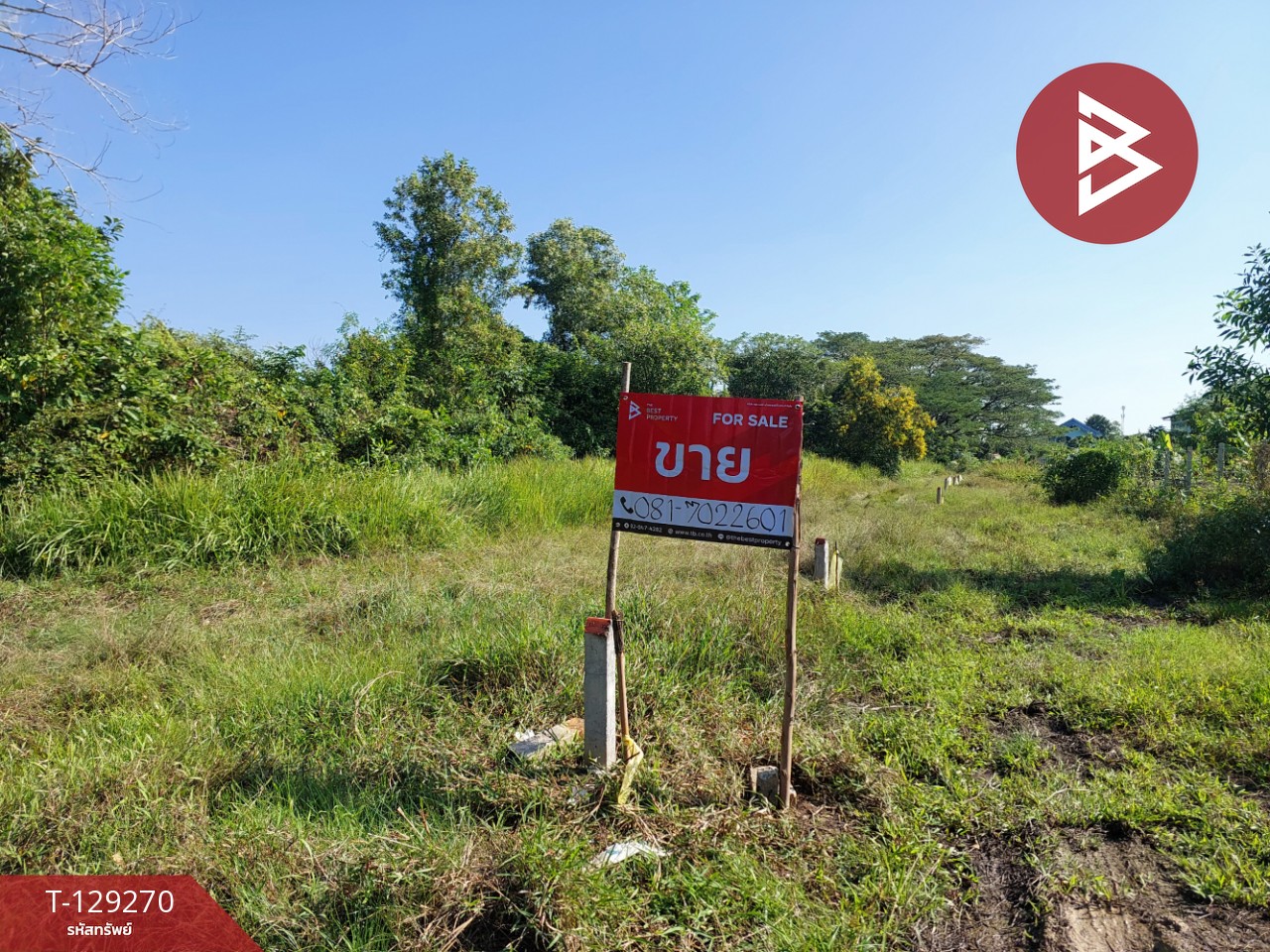 ขายที่ดิน เนื้อที่ 1 งาน 88.6 ตร.วา คลัง นครศรีธรรมราช 1