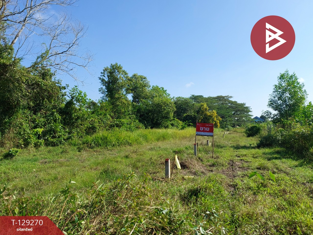 ขายที่ดิน เนื้อที่ 1 งาน 88.6 ตร.วา คลัง นครศรีธรรมราช 2