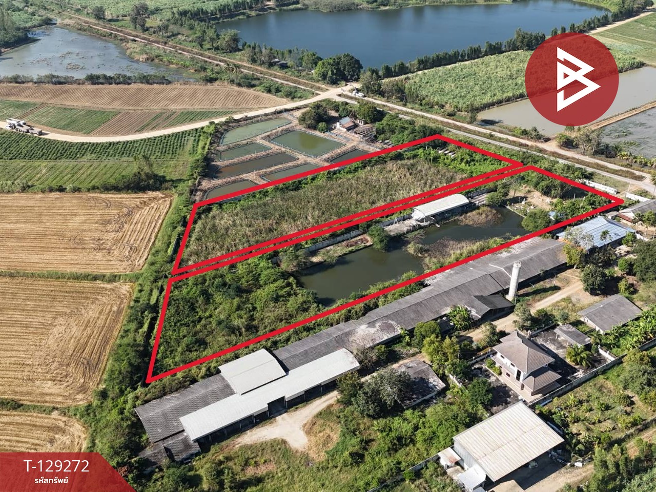 ขายที่ดิน เนื้อที่ 9 ไร่ 3 งาน 64 ตารางวา ต.ท่าผา อ.บ้านโป่ง จ.ราชบุรี 5