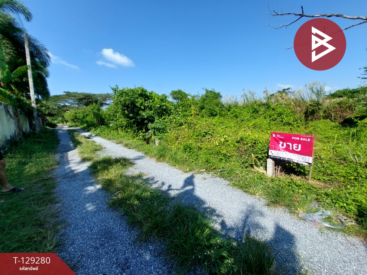 ขายที่ดิน เนื้อที่ 1 งาน 15.2 ตร.วา คลัง นครศรีธรรมราช 2