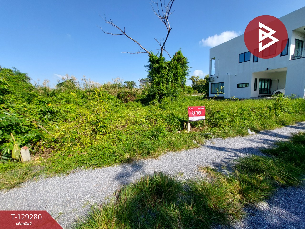 ขายที่ดิน เนื้อที่ 1 งาน 15.2 ตร.วา คลัง นครศรีธรรมราช 3