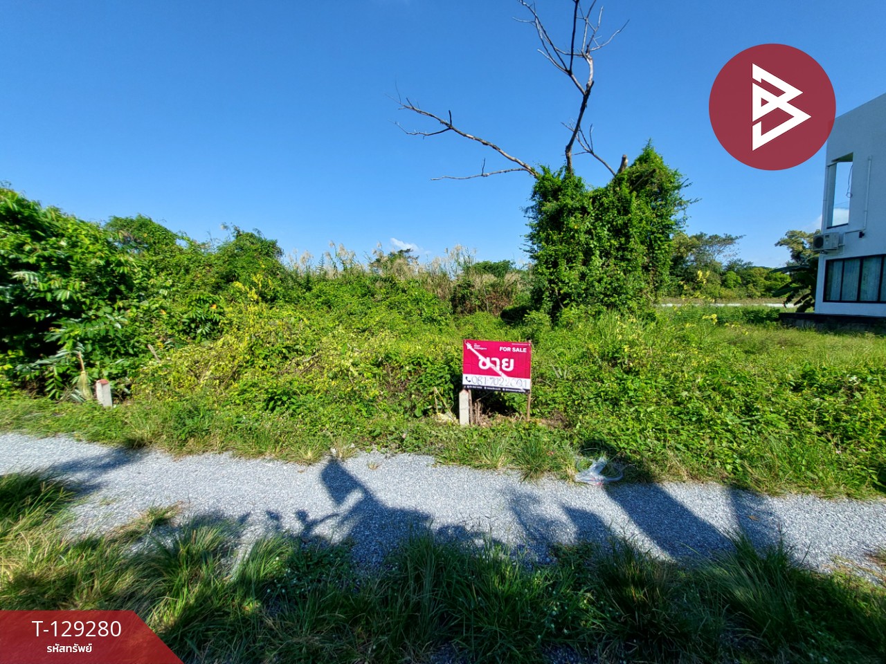 ขายที่ดิน เนื้อที่ 1 งาน 15.2 ตร.วา คลัง นครศรีธรรมราช 1