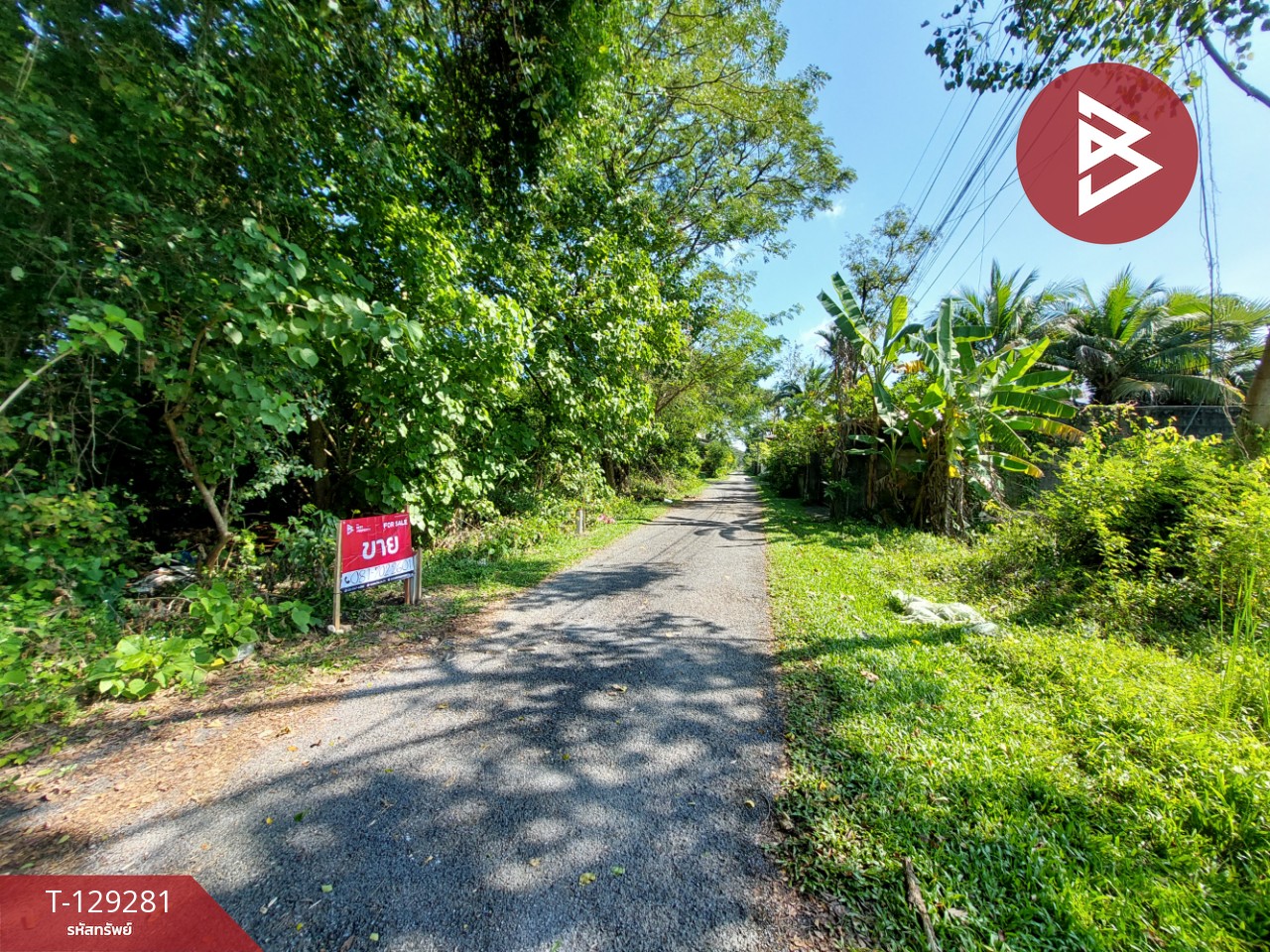 ขายที่ดิน เนื้อที่ 39.2 ตร.วา คลัง นครศรีธรรมราช 3