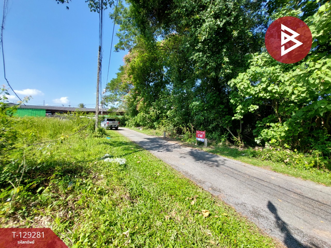 ขายที่ดิน เนื้อที่ 39.2 ตร.วา คลัง นครศรีธรรมราช 2