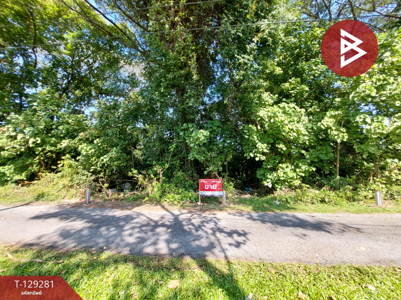 ขายที่ดิน เนื้อที่ 39.2 ตร.วา คลัง นครศรีธรรมราช 1