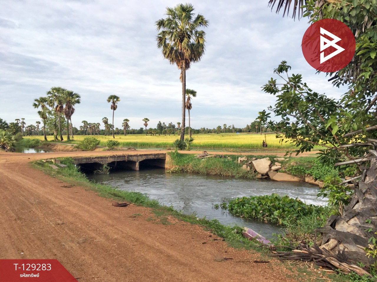 ขายที่ดิน เนื้อที่ 1 ไร่ 1 งาน 3 ตร.วา บ้านลาด เพชรบุรี 2