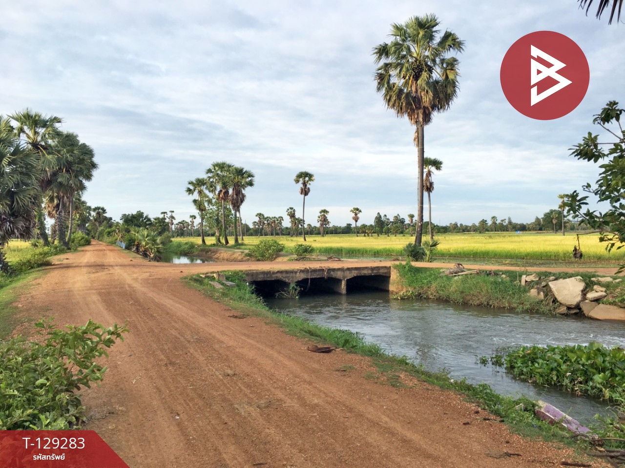 ขายที่ดิน เนื้อที่ 1 ไร่ 1 งาน 3 ตร.วา บ้านลาด เพชรบุรี 4