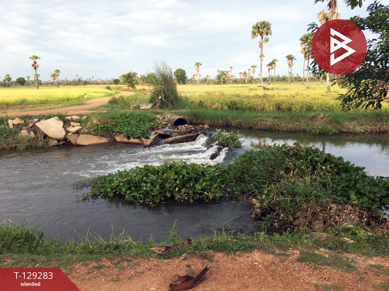 ขายที่ดิน เนื้อที่ 1 ไร่ 1 งาน 3 ตร.วา บ้านลาด เพชรบุรี 7