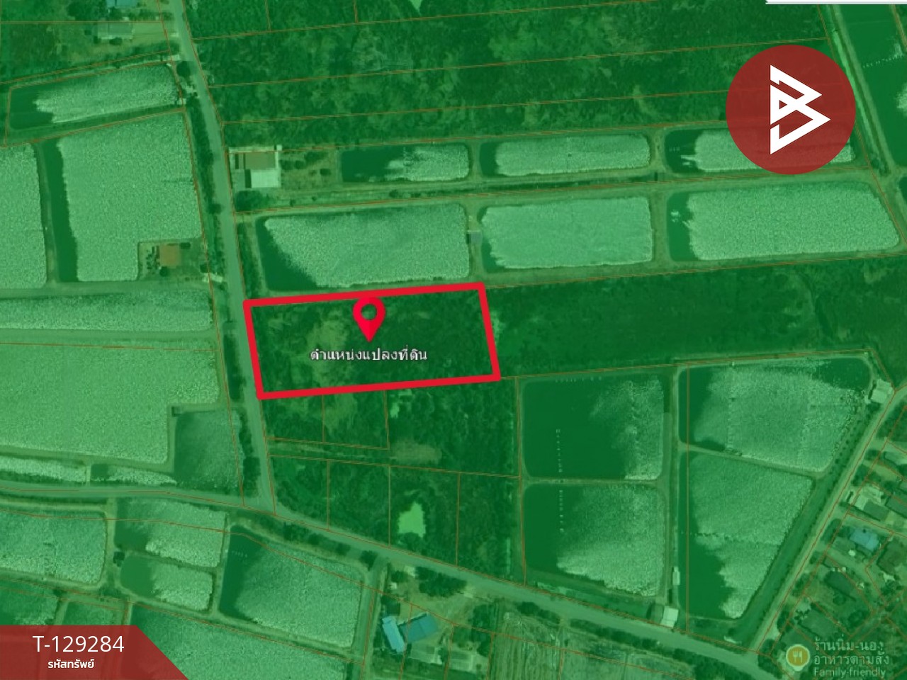 ขายที่ดิน เนื้อที่ 4 ไร่ 2 งาน ชุมชนบ้านโคกแย้ สระสี่มุม กำแพงแสน นครปฐม 3