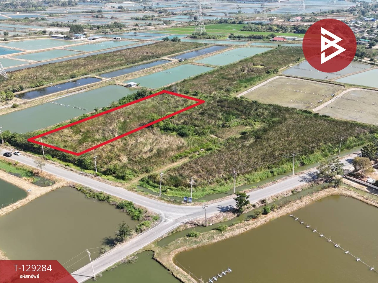 ขายที่ดิน เนื้อที่ 4 ไร่ 2 งาน ชุมชนบ้านโคกแย้ สระสี่มุม กำแพงแสน นครปฐม 8