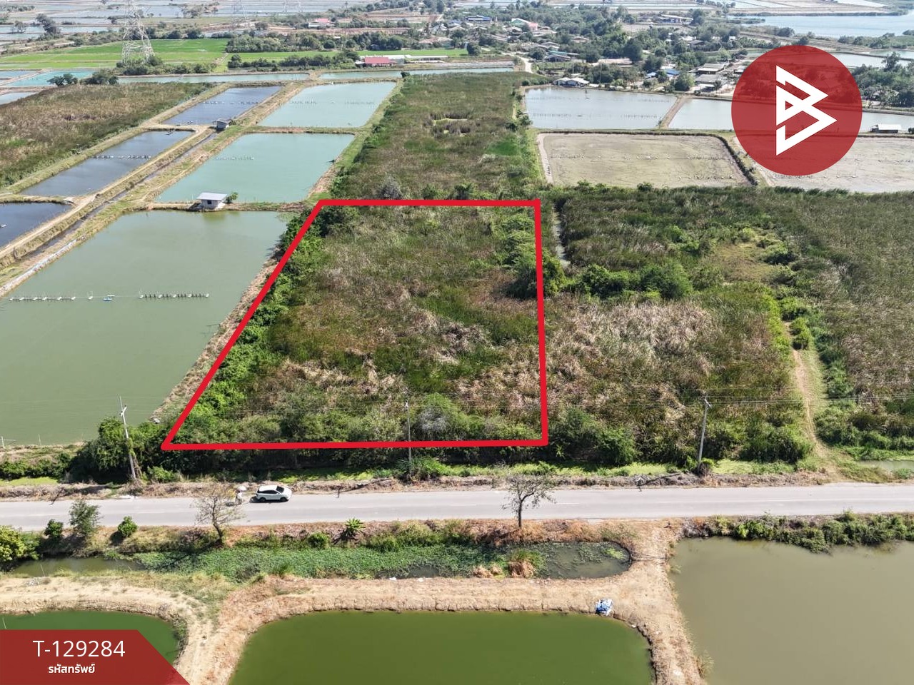 ขายที่ดิน เนื้อที่ 4 ไร่ 2 งาน ชุมชนบ้านโคกแย้ สระสี่มุม กำแพงแสน นครปฐม 5