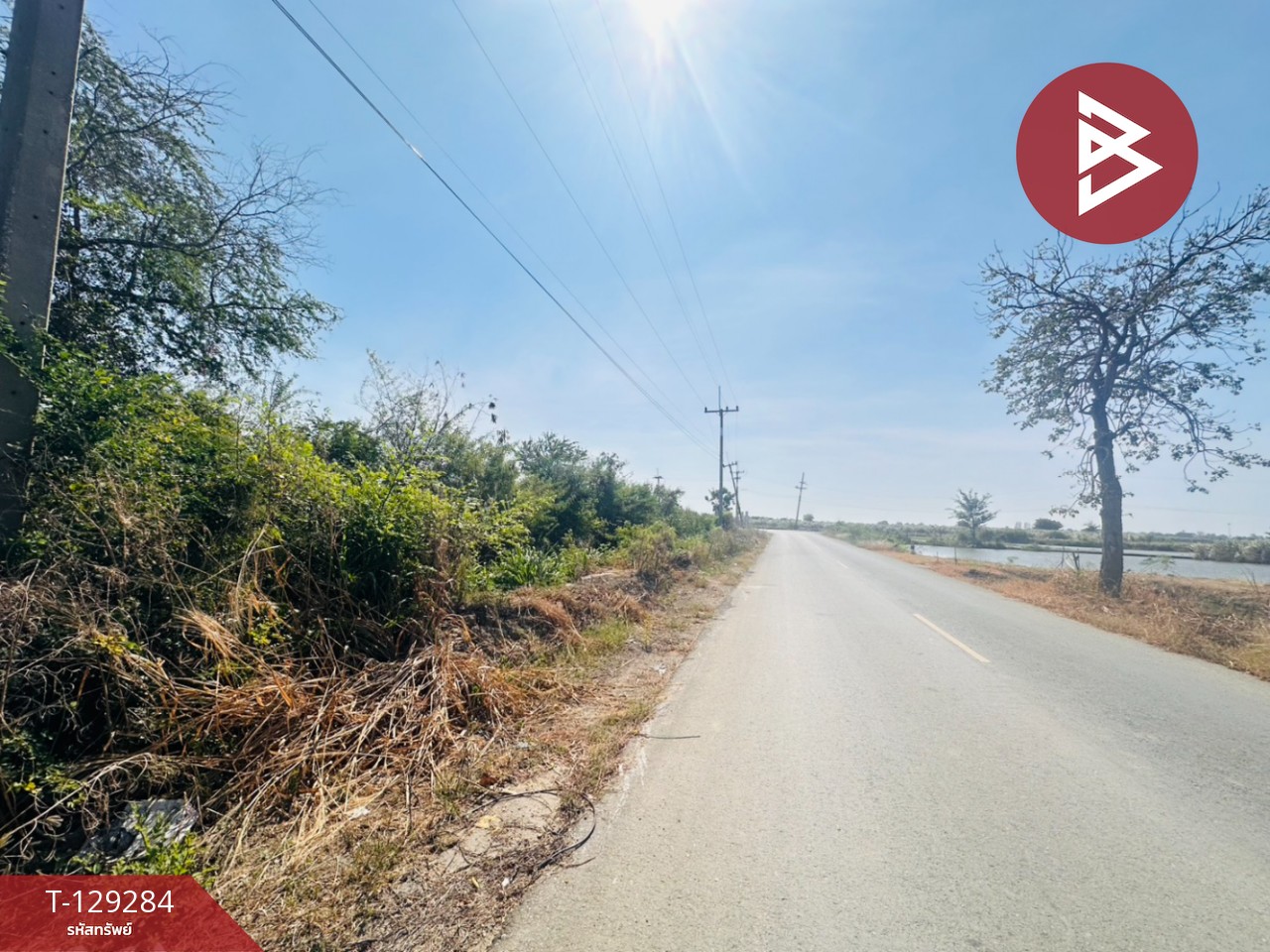 ขายที่ดิน เนื้อที่ 4 ไร่ 2 งาน ชุมชนบ้านโคกแย้ สระสี่มุม กำแพงแสน นครปฐม 12