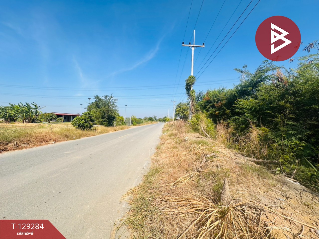 ขายที่ดิน เนื้อที่ 4 ไร่ 2 งาน ชุมชนบ้านโคกแย้ สระสี่มุม กำแพงแสน นครปฐม 13