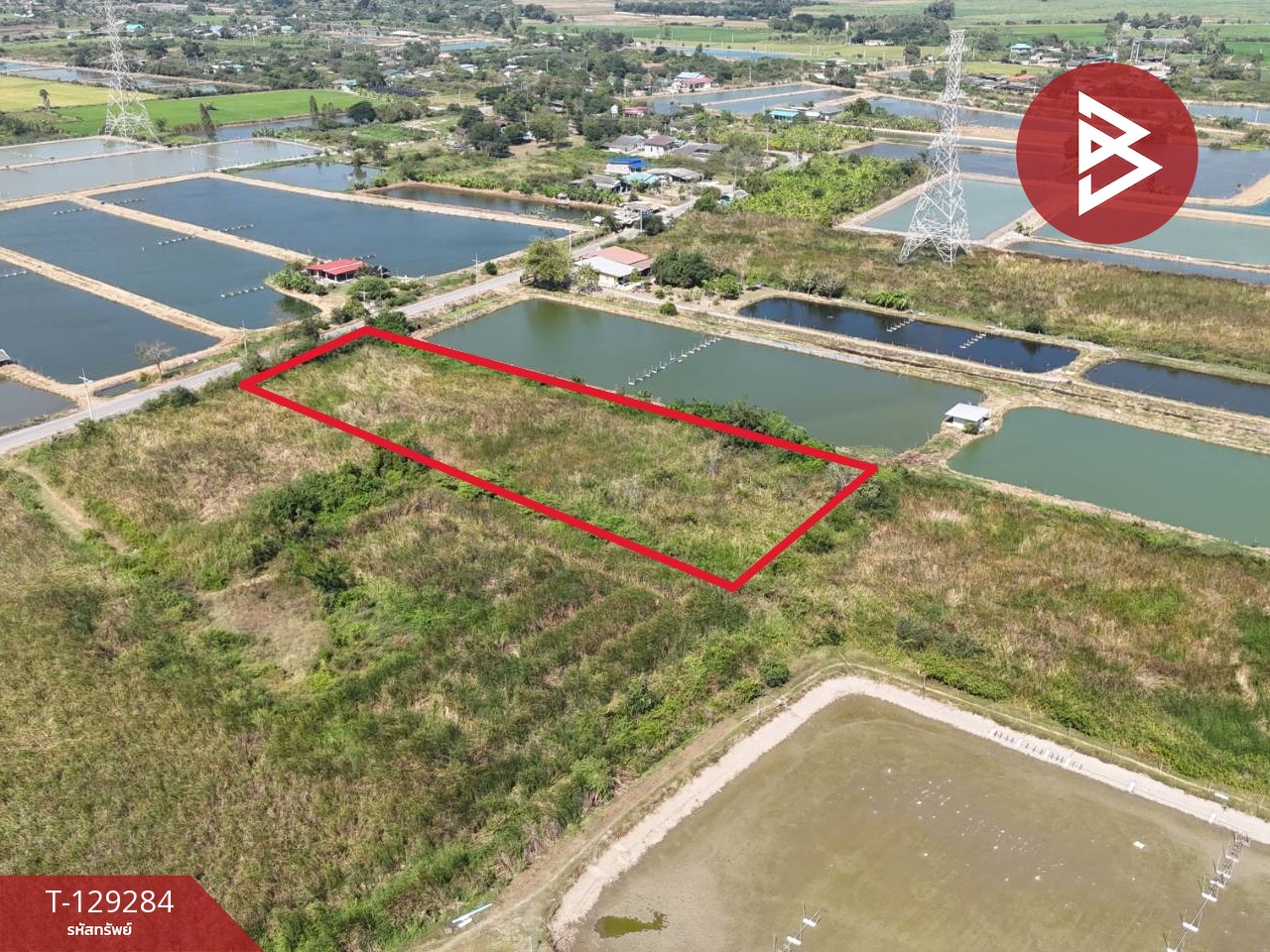 ขายที่ดิน เนื้อที่ 4 ไร่ 2 งาน ชุมชนบ้านโคกแย้ สระสี่มุม กำแพงแสน นครปฐม 7